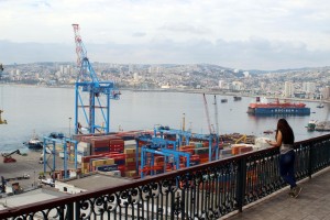 Nueva Grúa TPS (18)