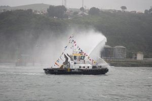 RAM-MIRLO-DE-SAAM-300x200