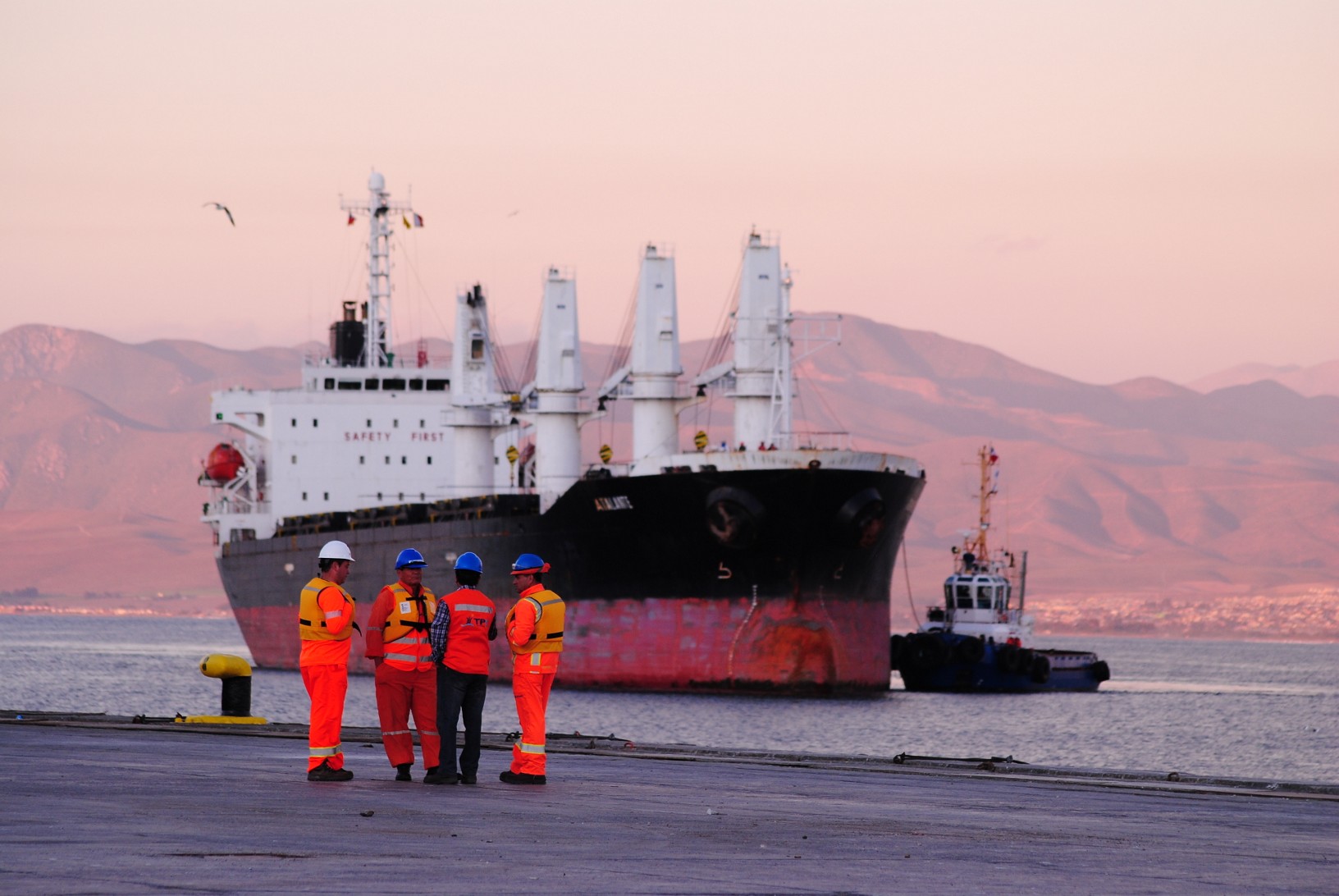 Exportaciones de la Región de Coquimbo se reducen 24,5% según el INE