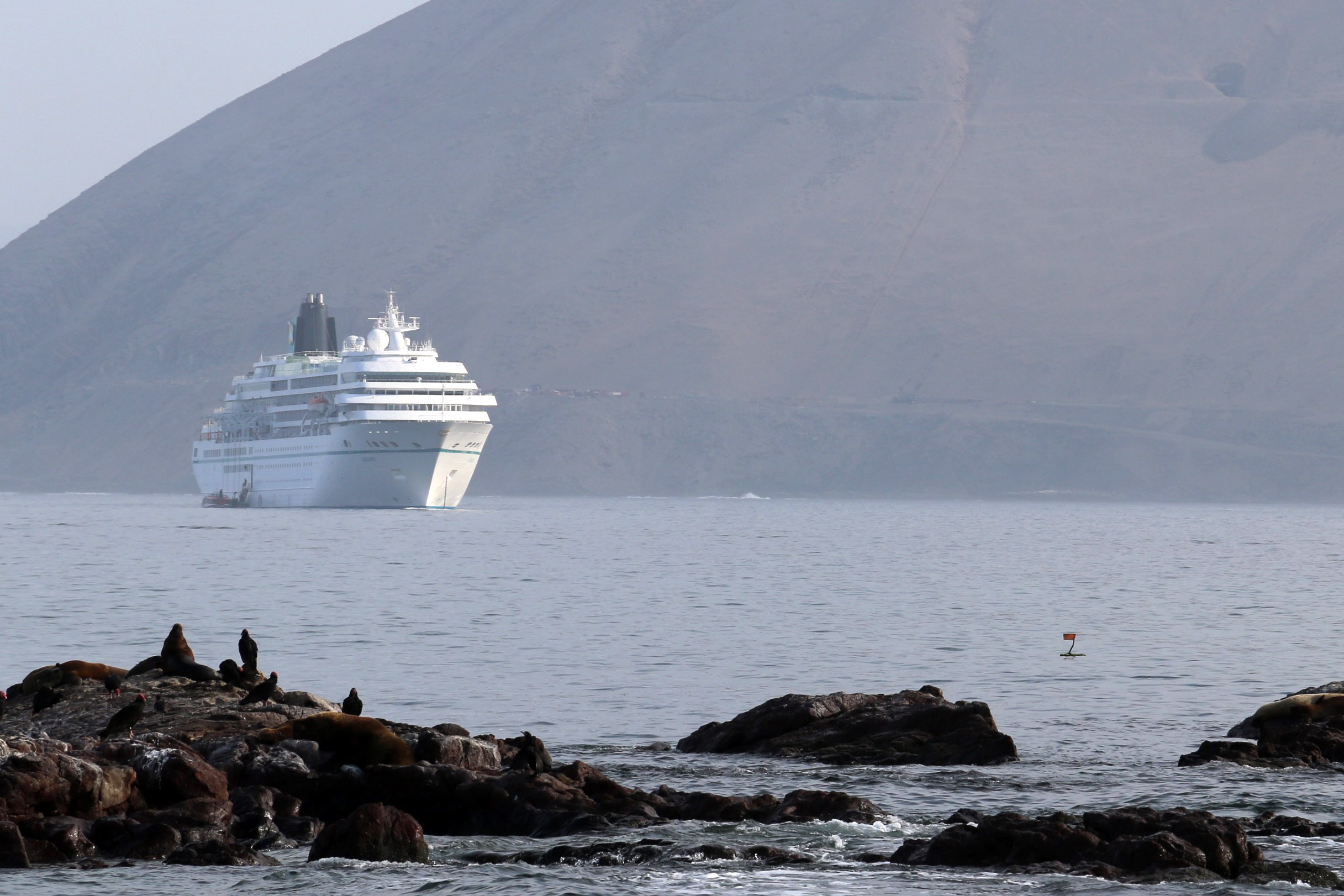 Las pérdidas que sufre Atacama por no tener un puerto para cruceros
