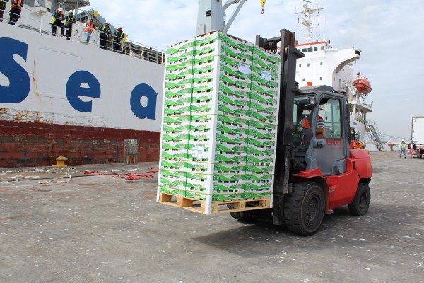 Puerto de Talcahuano exporta inédita carga de frutas a Estados Unidos