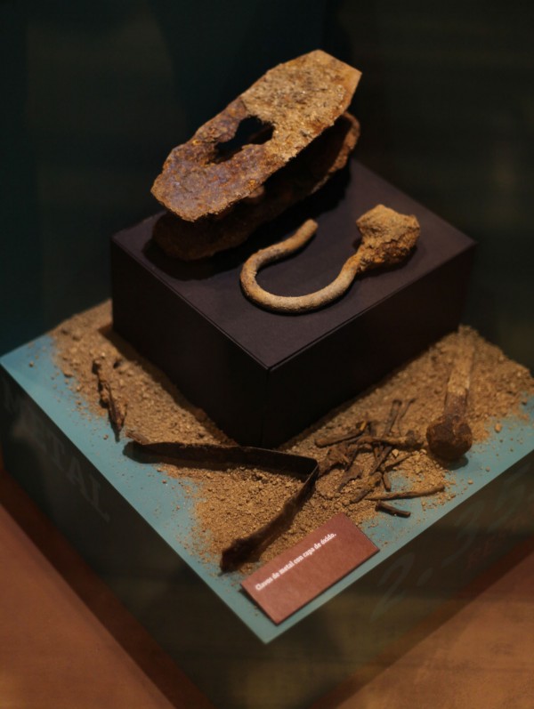 Restos arqueológicos hallados en obras del VTP serán expuestos en Museo de Historia Natural de Valparaíso