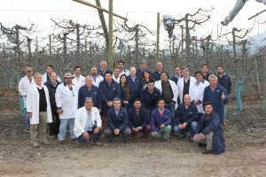Trabajadores de STI visitan plantas exportadoras de fruta de O’Higgins y el Maule