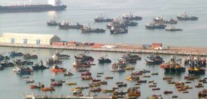 Muelle peruano de Arica podría incrementar su movimiento de carga en 800 contenedores mensuales