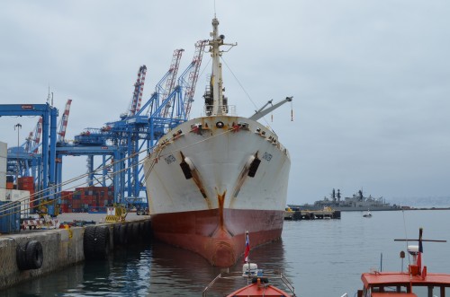 Embarque de uva y carozo a Estados Unidos inaugura temporada de fruta en TPS