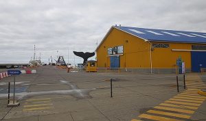 Concurso para modernizar muelle Prat de Punta Arenas cuenta con 84 interesados