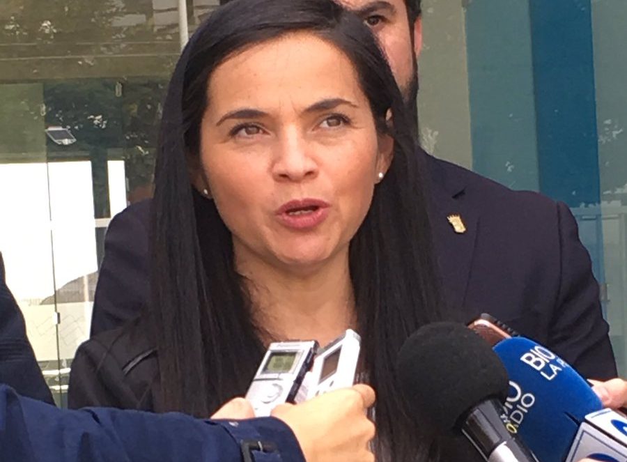 Puerto Talcahuano y autoridades trabajan  con vista a retomar actividad de cruceros