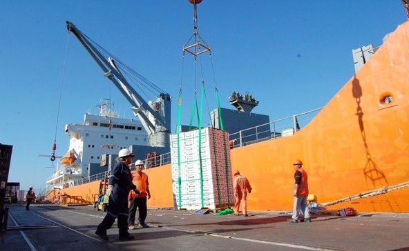 5 millones de cajas de uvas enviadas al exterior por Puerto Coquimbo
