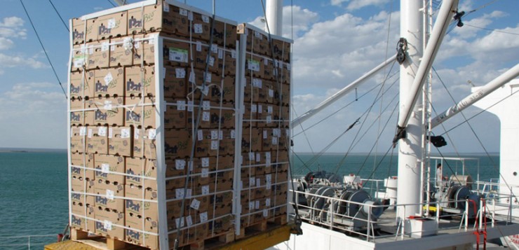 Frutas y más servicios influyen en incremento de la carga en el Puerto de Valparaíso