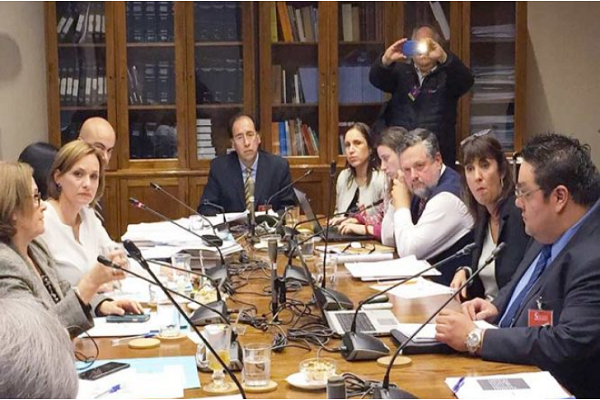EPAustral plantea a Comisión del Trabajo del Senado postura en Ley de Cabotaje: “Solicitamos que no exista restricción a la capacidad de transporte de pasajeros en las naves”