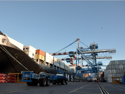 TPS transfiere 1,1 millones de toneladas de fruta durante última temporada